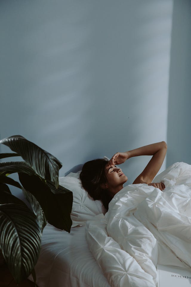 Helvorn74etra calm path